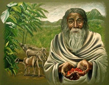 происхождения кофе в Эфиопии