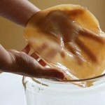 Как вырастить чайный гриб с нуля